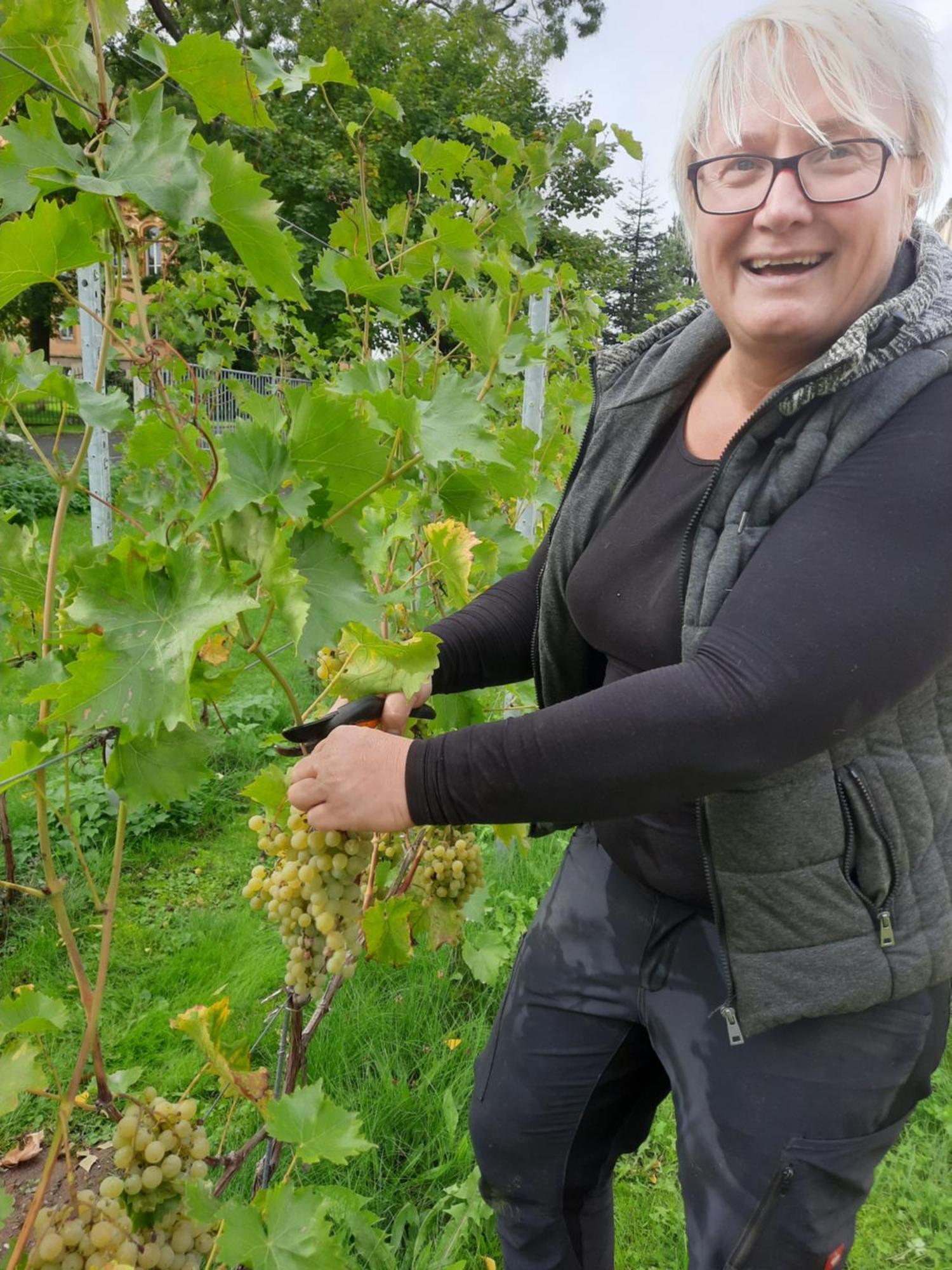 Ferienwohnung Weingut Lahmer August Kretzschau Eksteriør billede