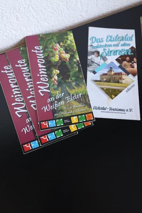 Ferienwohnung Weingut Lahmer August Kretzschau Eksteriør billede