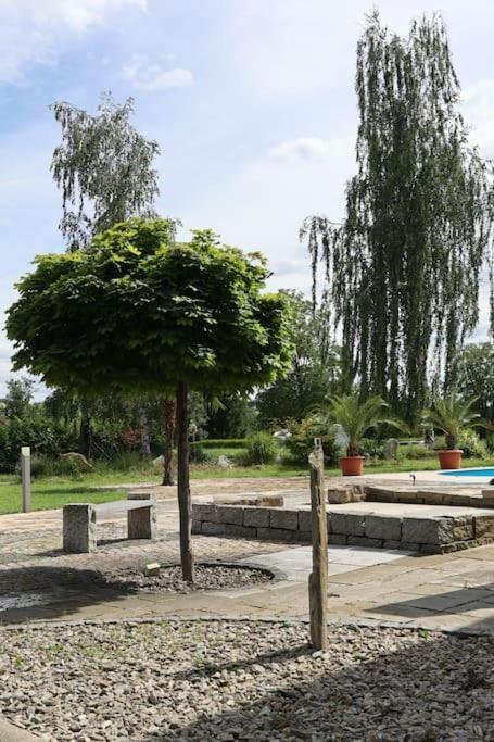 Ferienwohnung Weingut Lahmer August Kretzschau Eksteriør billede